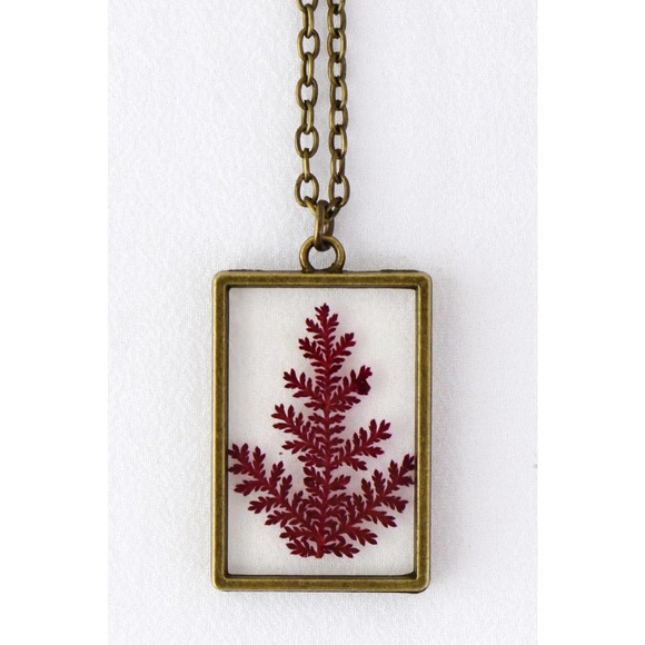 NEW Pressed Dried Flower Botanical Resin Necklace - Green Fern or Red Flower - Picture 7 of 7